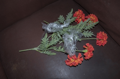 مجموعه "خاطره و نیستی"