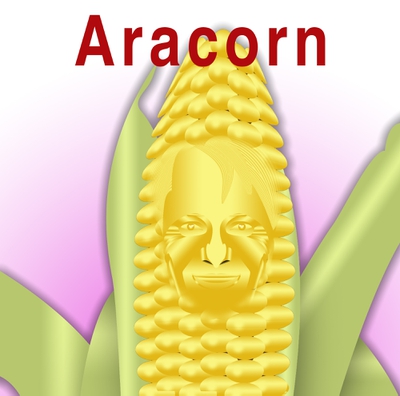 Aracorn